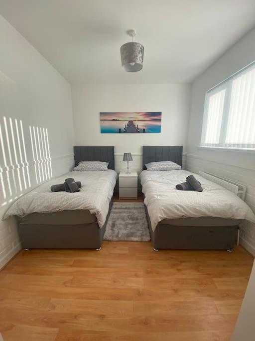 Modern Two Bed House Close To City Centre Belfast Eksteriør billede