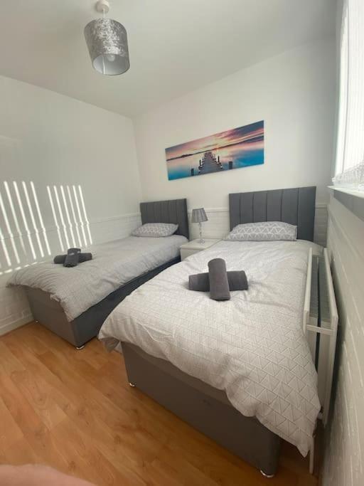Modern Two Bed House Close To City Centre Belfast Eksteriør billede