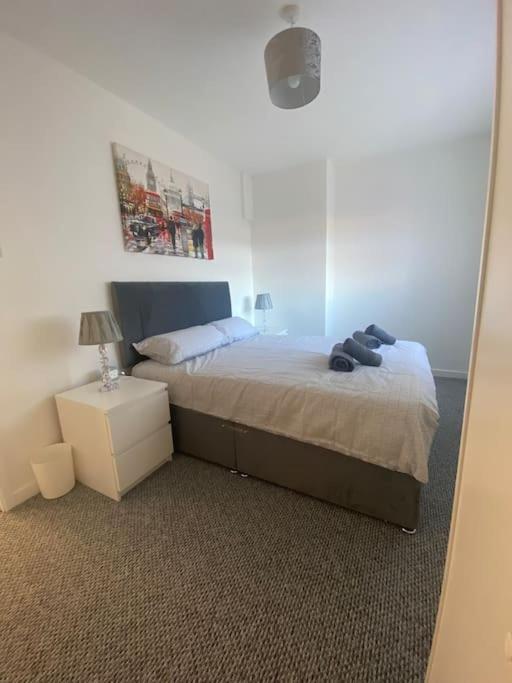 Modern Two Bed House Close To City Centre Belfast Eksteriør billede